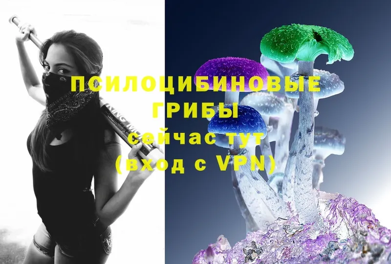 Псилоцибиновые грибы ЛСД  Ужур 